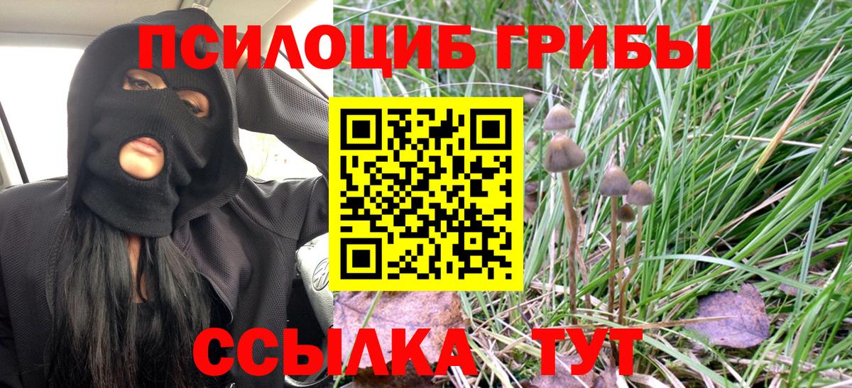 Галлюциногенные грибы MAGIC MUSHROOMS Мирный