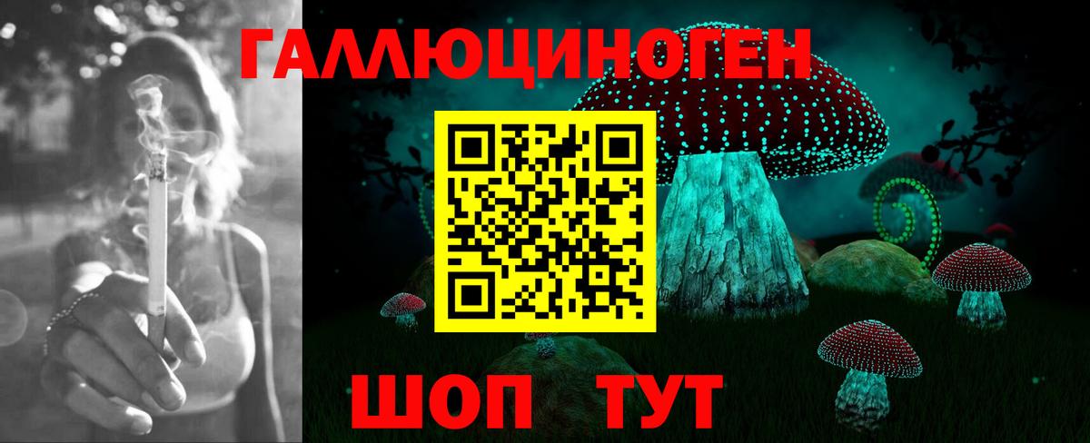 Псилоцибиновые грибы Psilocybe  Вход с VPN  Галлюциногенные грибы прущие грибы  Мирный 